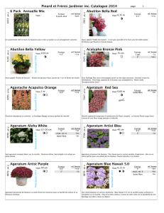 Pinard et Frères Jardinier inc. Catalogue 2014 6 Pack Annuelle Mix