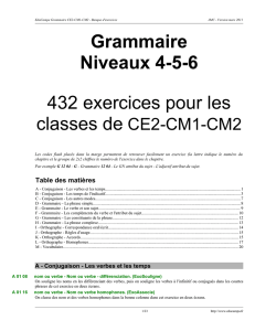 Grammaire Niveaux 4-5-6 432 exercices pour les