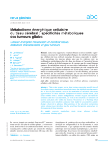 Métabolisme énergétique cellulaire du tissu cérébral