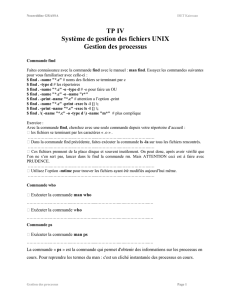 TP IV Système de gestion des fichiers UNIX Gestion des processus
