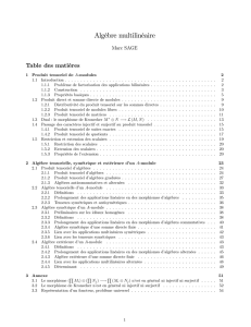 Algèbre multilinéaire