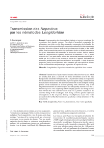Transmission des Nepovirus par les nématodes Longidoridae