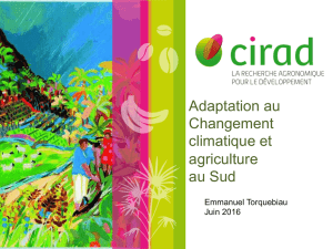 Adaptation au Changement climatique et agriculture au Sud