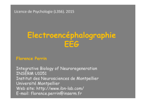Electroencéphalographie EEG - Integrative Biology of