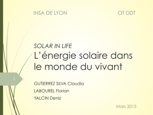 L`énergie solaire dans le monde du vivant