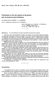 Protéolyse in vitro de caséine et de gluten