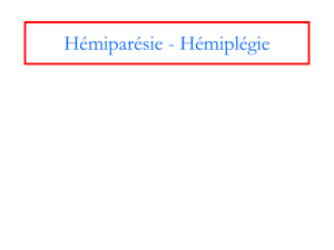 Hémiparésie - Hémiplégie