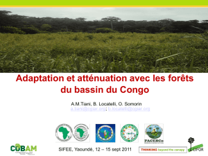 Adaptation et atténuation avec les forêts du bassin du Congo