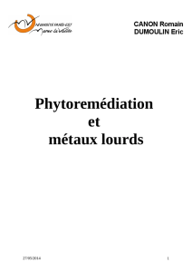 Plan phytoremédiation et métaux lourds