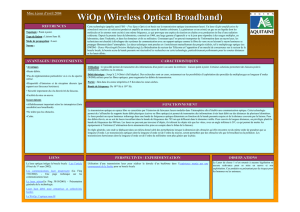 WiOp (Wireless Optical Broadband)