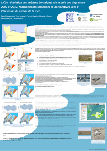 LiCCo : Evolution des habitats benthiques de la baie des Veys entre