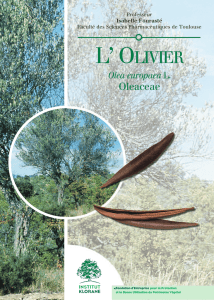 L` OLivier - Klorane Botanical Foundation
