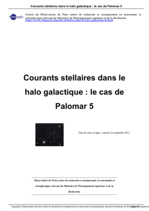 Courants stellaires dans le halo galactique : le cas de Palomar 5