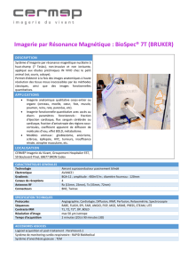 Imagerie par Résonance Magnétique : BioSpec® 7T (BRUKER)
