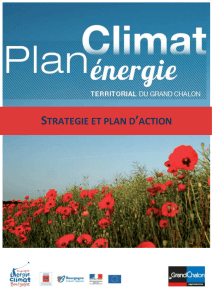 Stratégie et Plan d`action VF