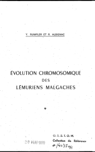 Evolution chromosomique des Lemuriens malgaches