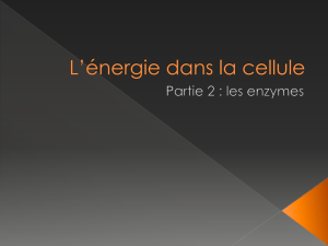 L_energie_dans_la_ce..