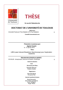 THµSE - thesesups - Université Paul Sabatier
