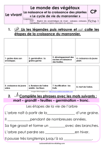 Le monde des végétaux fiches élèves