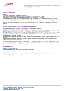 CC110 Certificat de compétences en E-marketing et e