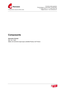 «Composants» Alexandra Schmid