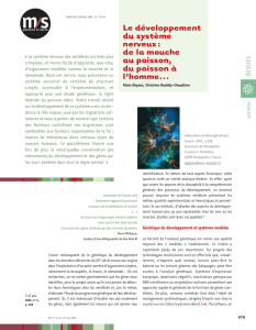 MS Volume 19 n°5 - Université de Montpellier