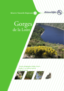 Dossier de terrain - Réserve Naturelle Régionale | Gorges de la Loire