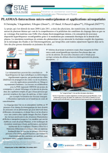 PLASMAX - Interactions micro-ondes/plasmas et