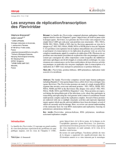 Les enzymes de réplication/transcription des Flaviviridae