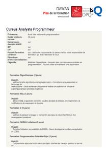 Cursus Analyste Programmeur : Algorithmique, SQL, C