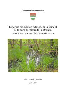 Expertise des habitats naturels, de la faune et de la flore du marais