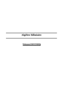 Algèbre bilinéaire - Fichier