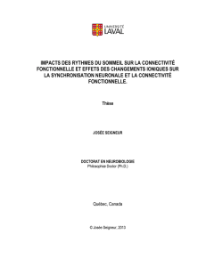 Impacts des rythmes du sommeil sur la connectivit&eacute; fonctionnelle et