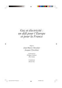 Gaz et électricité : un défi pour l`Europe et pour la France