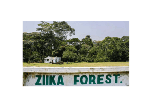 Téléchargez le fichier complet : Zika virus
