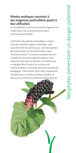 brochure Jardin Suisse liste néophytes potentiellement