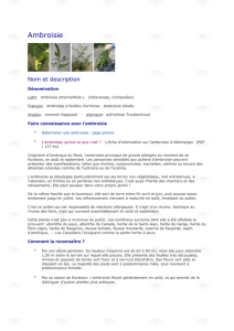 Office phytosanitaire cantonal - Plantes envahissantes (L`ambroisie)