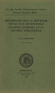 diptera nematocera - Det Kongelige Danske Videnskabernes Selskab