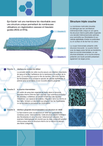 fiche produit PDF