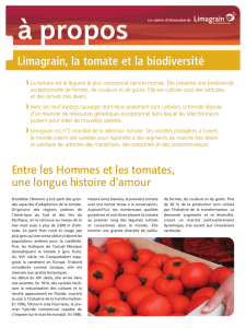 Limagrain, la tomate et la biodiversité