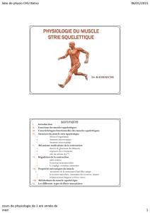 Physiologie du muscle strie squelettique Dr. \(3\)