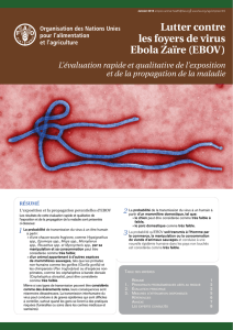 Lutter contre les foyers de virus Ebola Zaïre (EBOV): L`évaluation