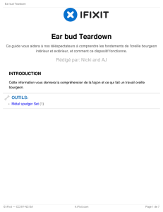 Ear bud Teardown