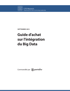 Guide d`achat sur l`intégration du Big Data