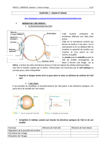 Chapitre 1 : Vision et Image