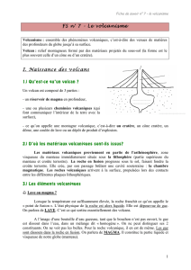 FS 7 - Le volcanisme.doc