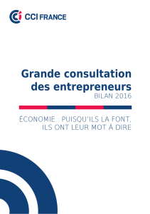 Bilan 2016 Grande Consultation CCI France
