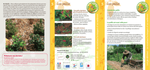 Les paillis - Loiret Nature Environnement