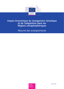 Impact économique du changement climatique et de l`adaptation