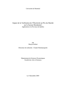 Impact de la Tarification de l`Électricité au Prix du Marché sur le